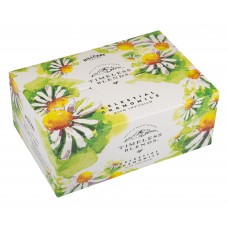 Celestial Chamomile Celestial Chamomile