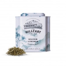 Silver Linings - Pack of 2